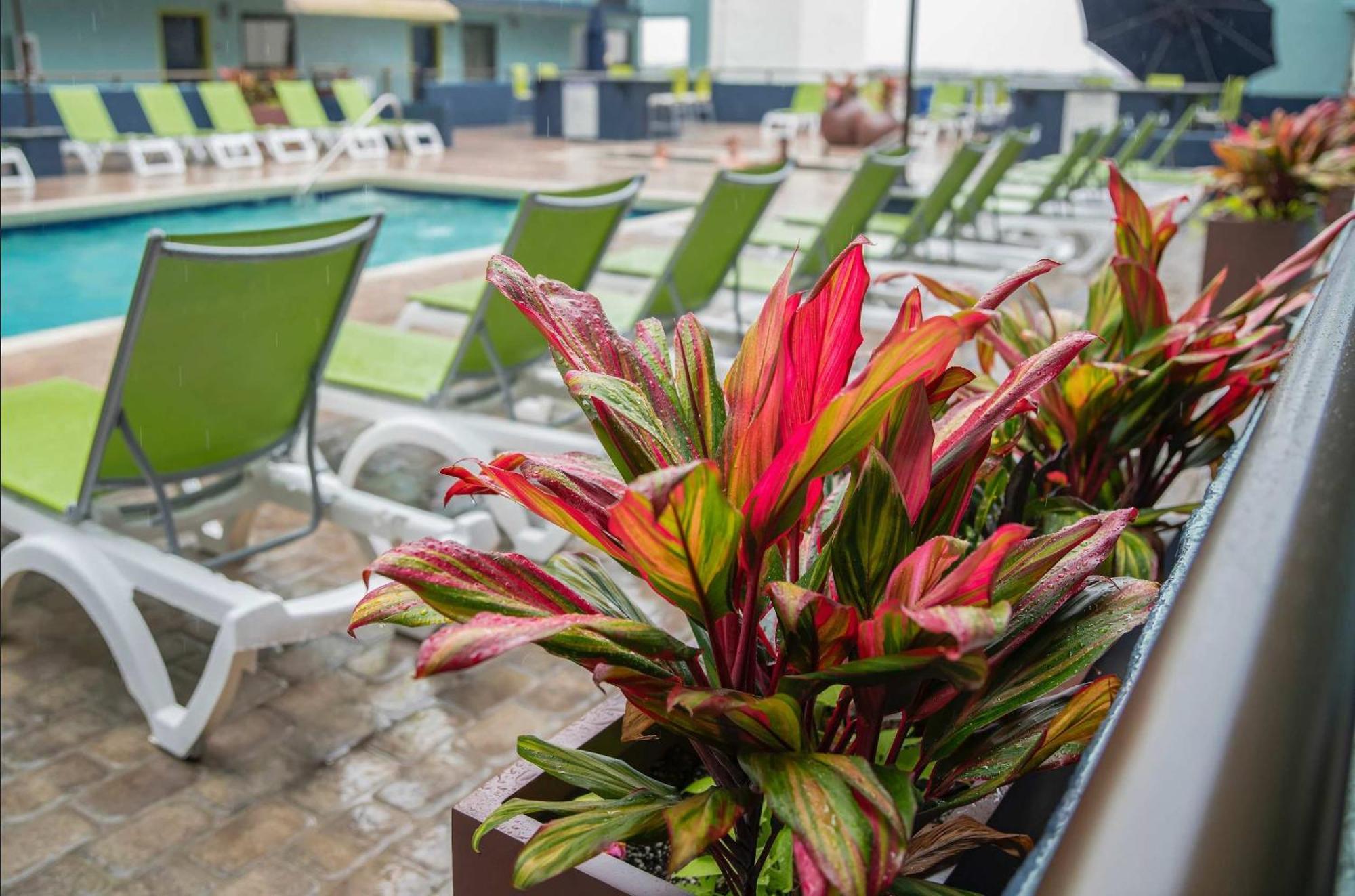 *Ocean View Beauty*King Bed*Rooftop Pool*Beach*Hot Tubs*M123 Myrtle Beach Exteriér fotografie